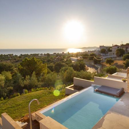 Lithos Villas - Nikiti Halkidiki Eksteriør billede