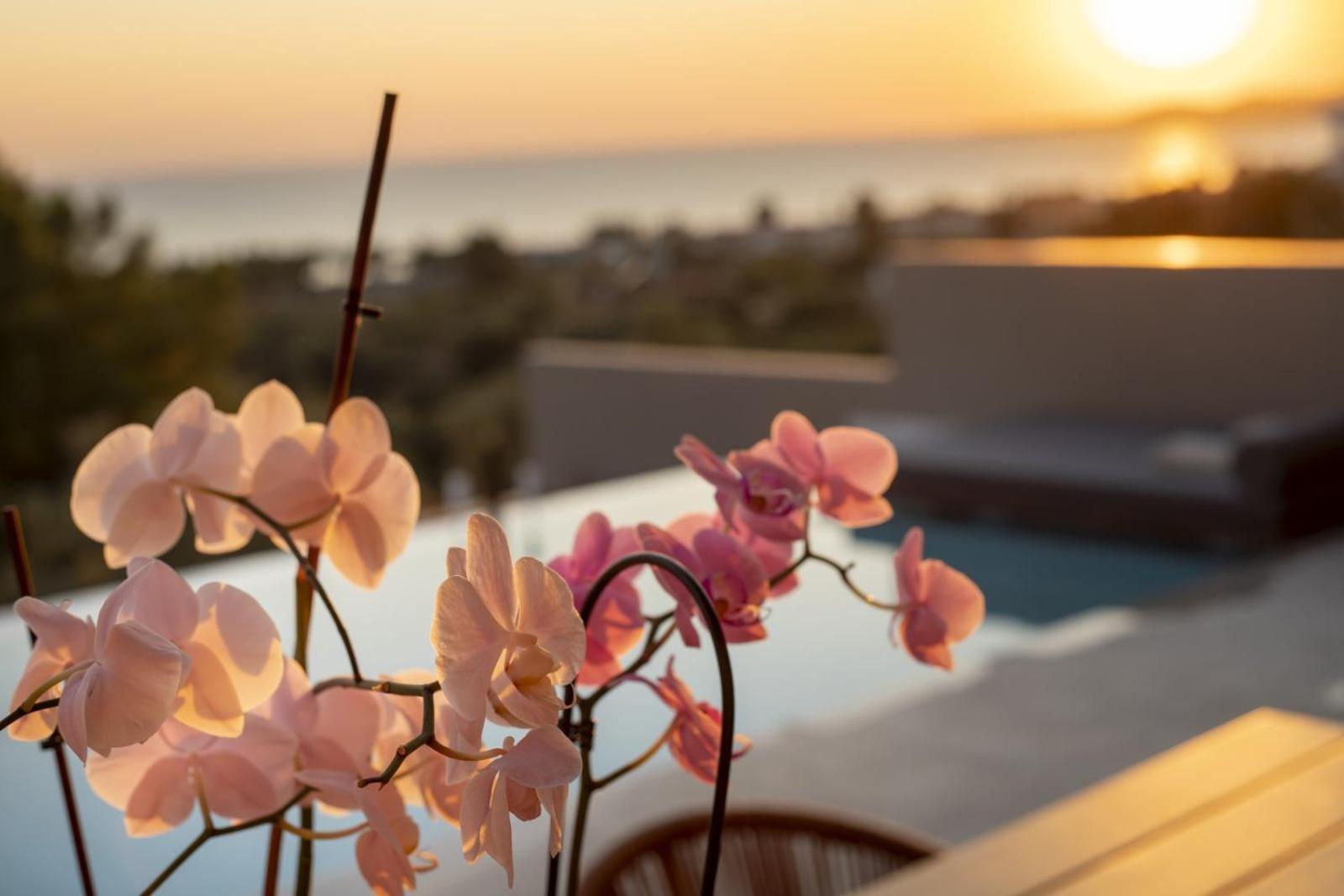 Lithos Villas - Nikiti Halkidiki Eksteriør billede
